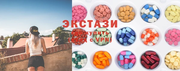 шишки Ельня