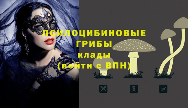 твердый Елабуга