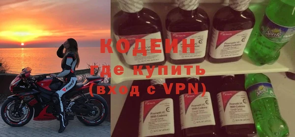 шишки Ельня