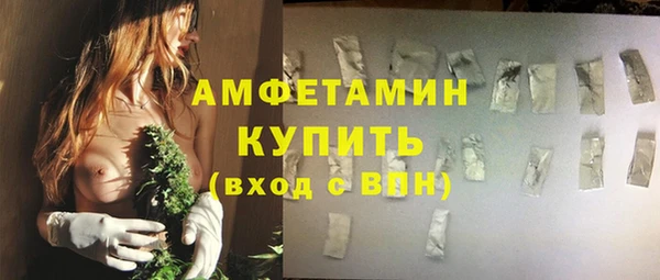 шишки Ельня