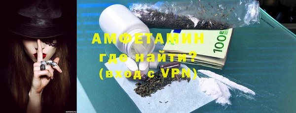 шишки Ельня