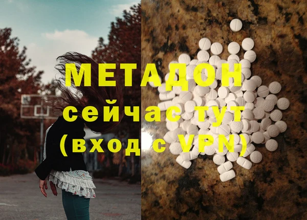 шишки Ельня