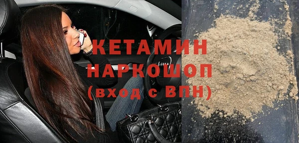 шишки Ельня