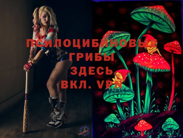 мдма Елизово