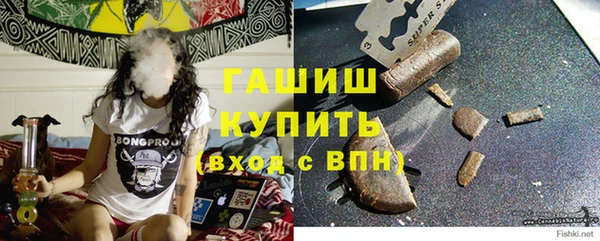 шишки Ельня