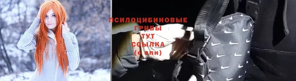 шишки Ельня
