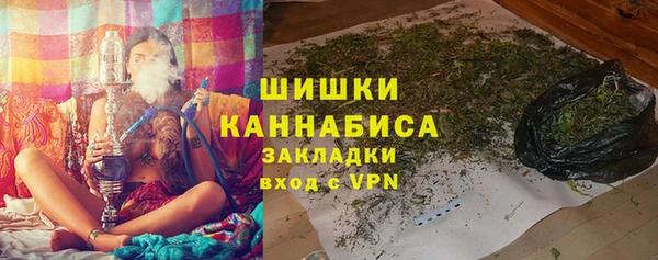 шишки Ельня