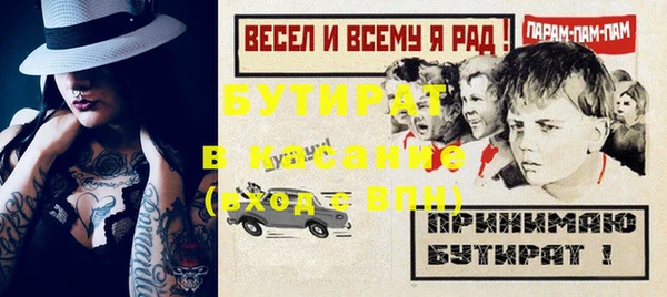 шишки Ельня