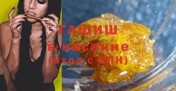 шишки Ельня