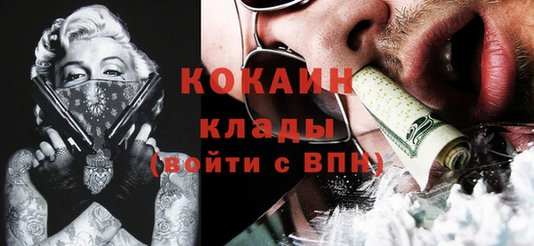 шишки Ельня