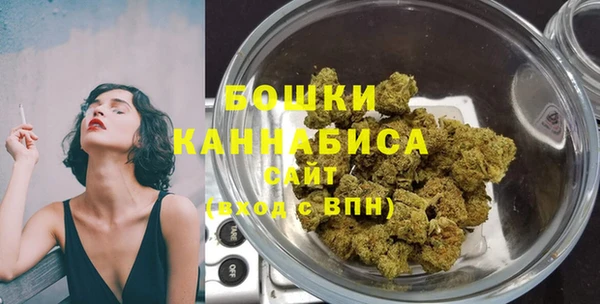 шишки Ельня