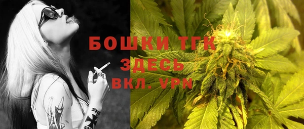 твердый Елабуга