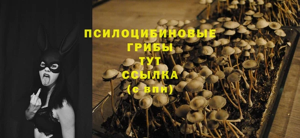 шишки Ельня