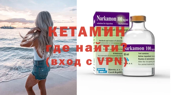 шишки Ельня
