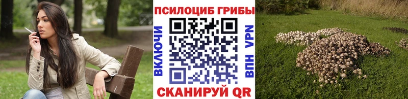 Галлюциногенные грибы GOLDEN TEACHER  продажа наркотиков  Сретенск 